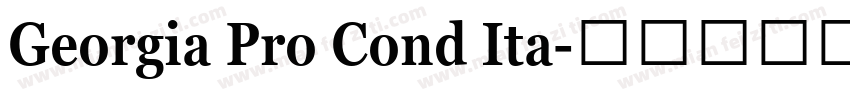 Georgia Pro Cond Ita字体转换